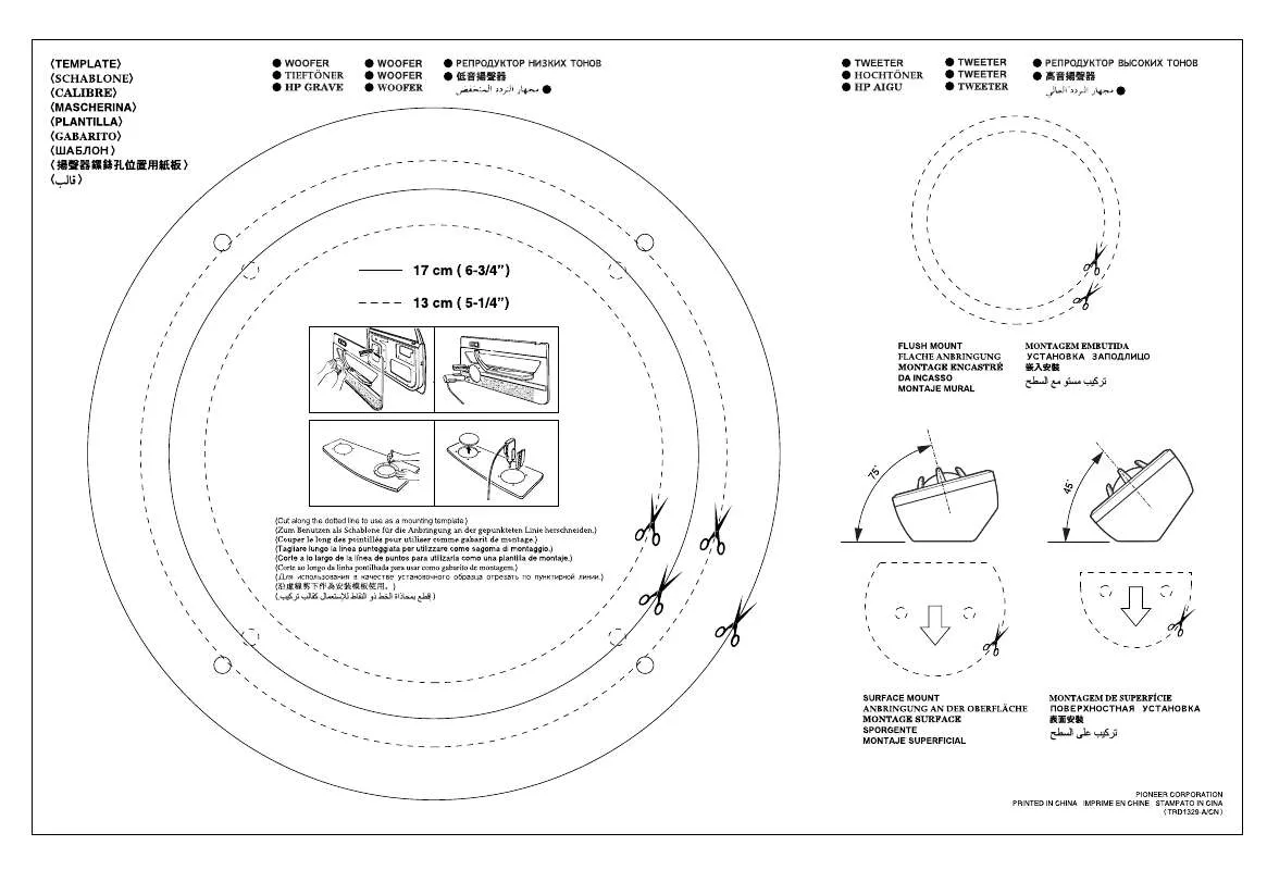 Mode d'emploi PIONEER TS-D1720C